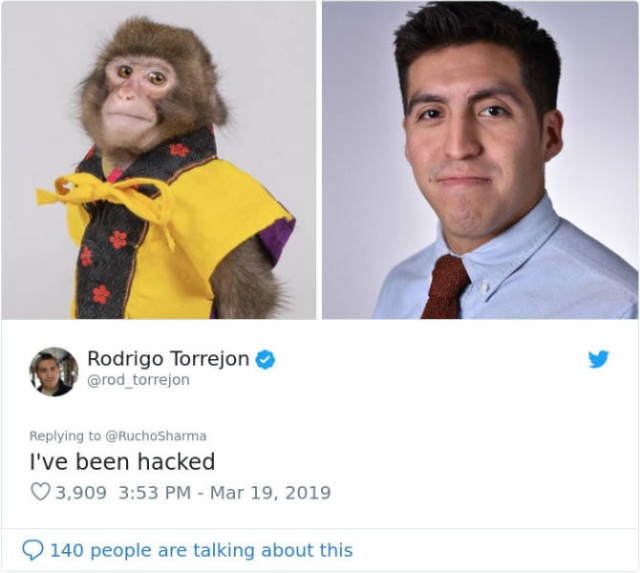 Monkey Looks Like A Journalist (27 pics)