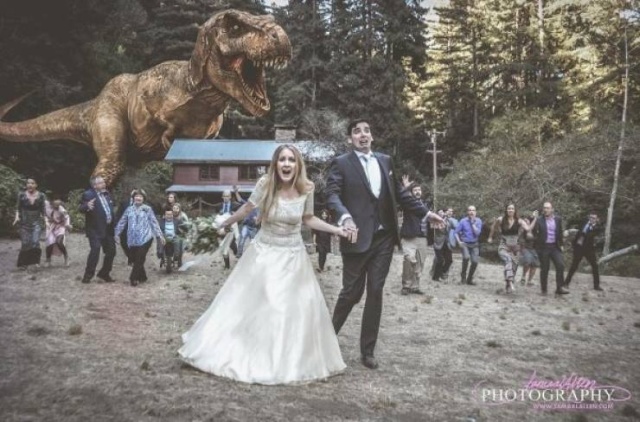 Funny Wedding Photos (17 pics)