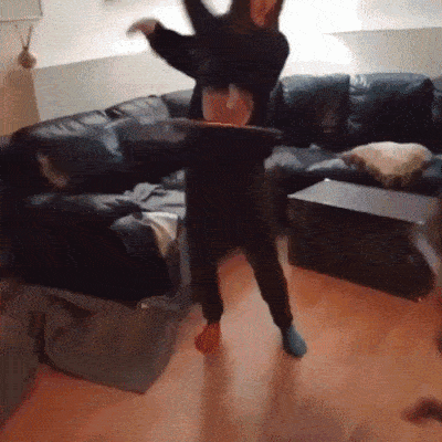 Animals Behave Like Humans (17 gifs)