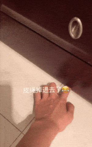 Animals Behave Like Humans (17 gifs)