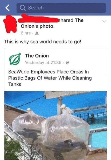 Something To Cringe At (37 pics)