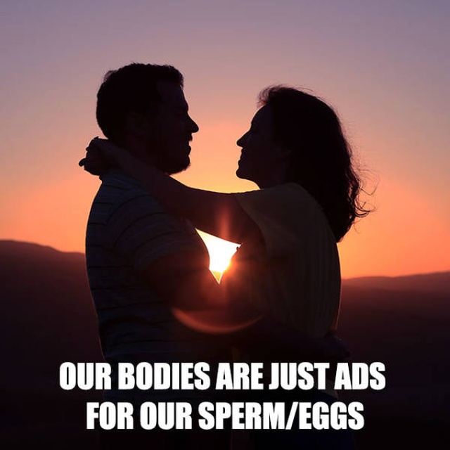 So True (53 pics)