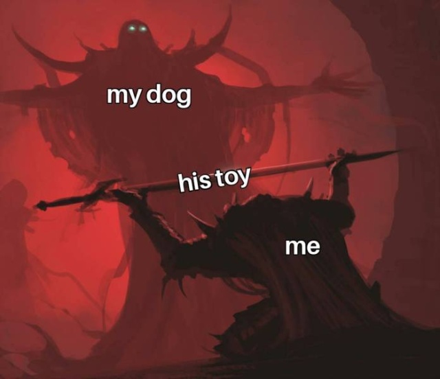 So True (53 pics)