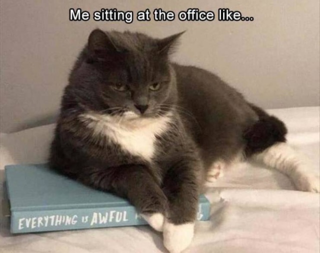 So True (53 pics)