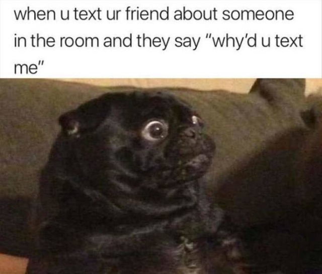 So True (53 pics)