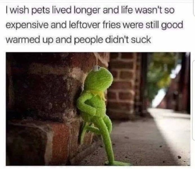 So True (53 pics)