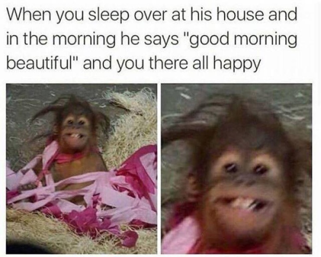 So True (53 pics)