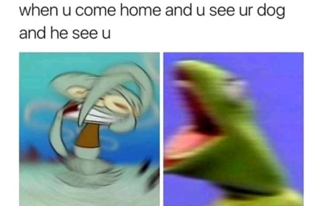 So True (53 pics)