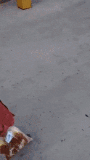 Acid Gifdump, April 8 (25 gifs)