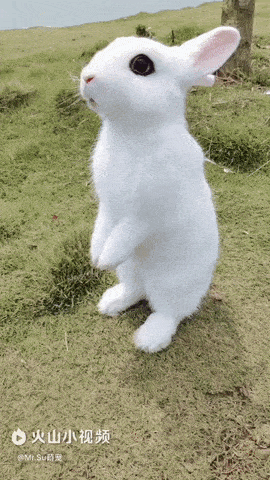 Acid Gifdump, April 8 (25 gifs)