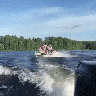 Acid Gifdump, April 8 (25 gifs)
