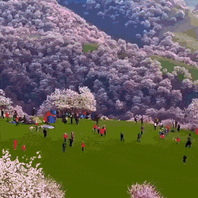 Acid Gifdump, April 8 (25 gifs)