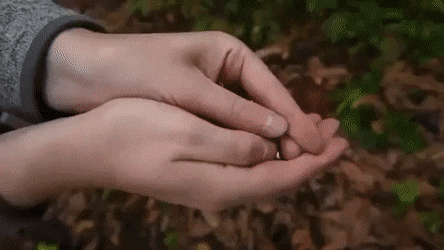Acid Gifdump, April 8 (25 gifs)