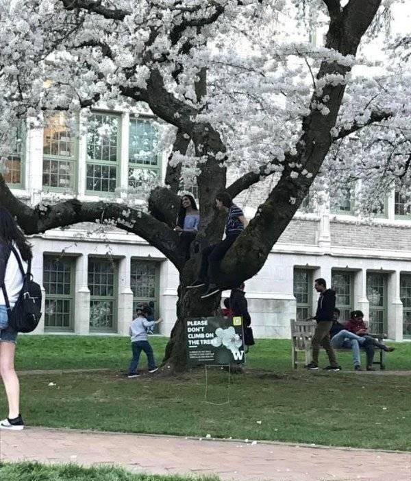 And How Smart Is This (23 pics)
