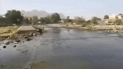 Acid Gifdump, April 10 (25 gifs)