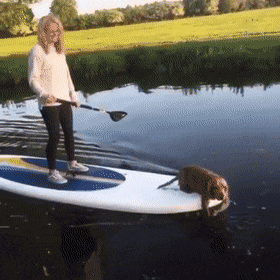 Acid Gifdump, April 10 (25 gifs)