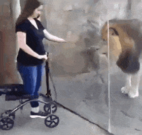 Acid Gifdump, April 10 (25 gifs)