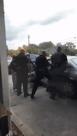 Acid Gifdump, April 10 (25 gifs)