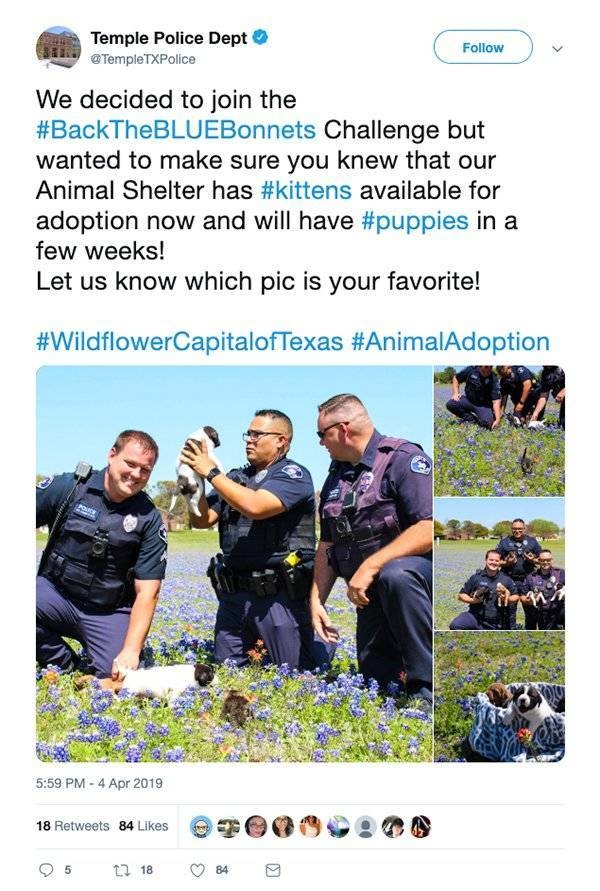 Texas Police In A New Bluebonnet Challenge (28 pics)