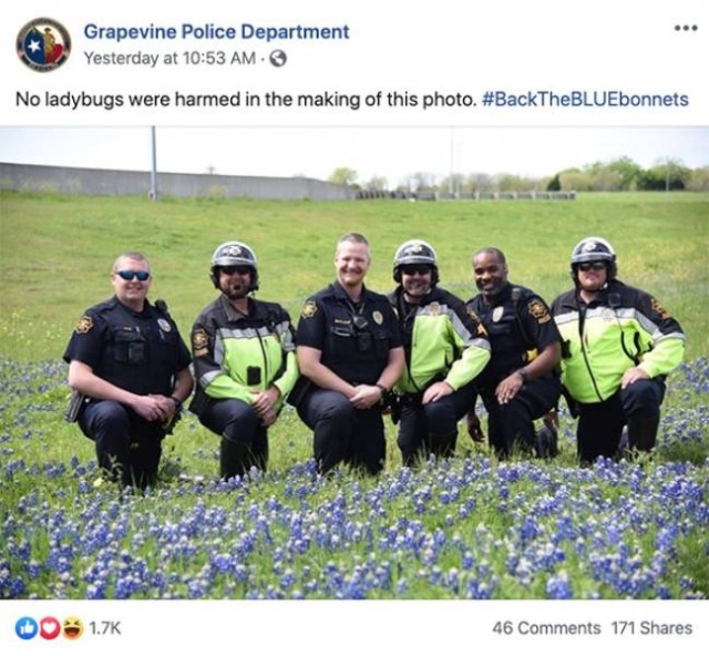 Texas Police In A New Bluebonnet Challenge (28 pics)