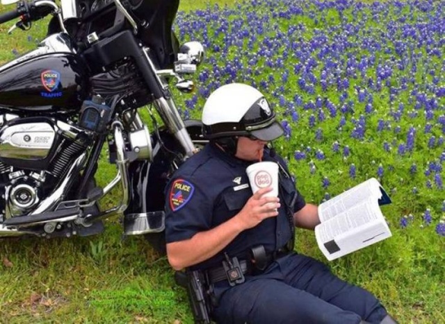 Texas Police In A New Bluebonnet Challenge (28 pics)