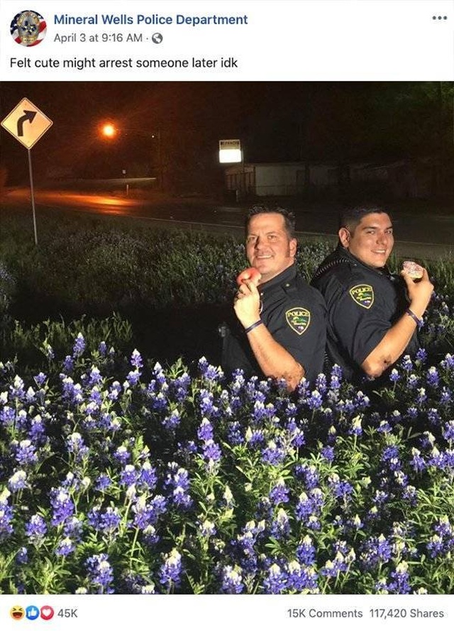 Texas Police In A New Bluebonnet Challenge (28 pics)