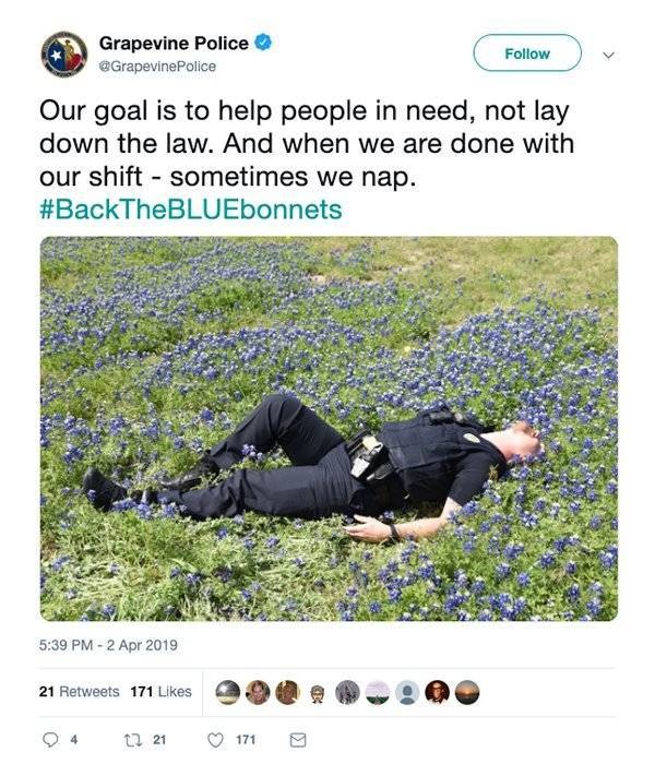 Texas Police In A New Bluebonnet Challenge (28 pics)