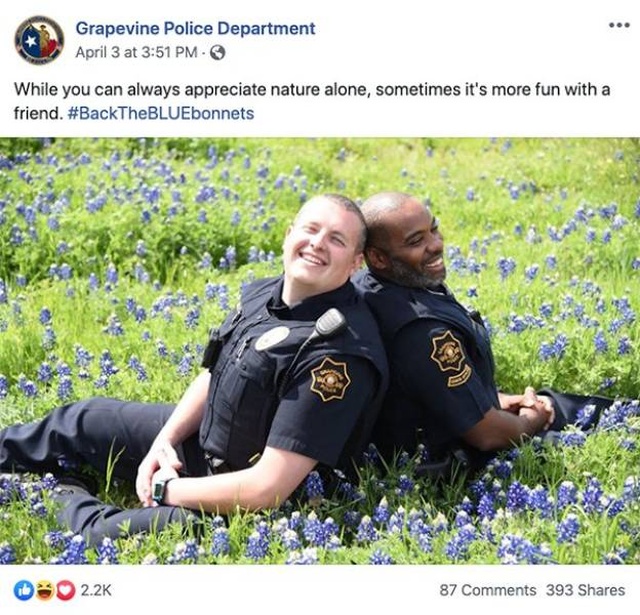 Texas Police In A New Bluebonnet Challenge (28 pics)