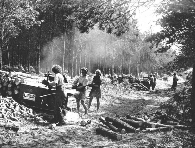 Lumberjack Women During World War II (13 pics)