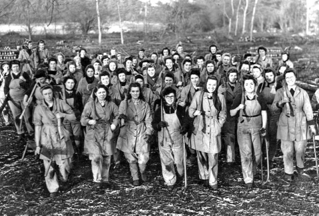 Lumberjack Women During World War II (13 pics)