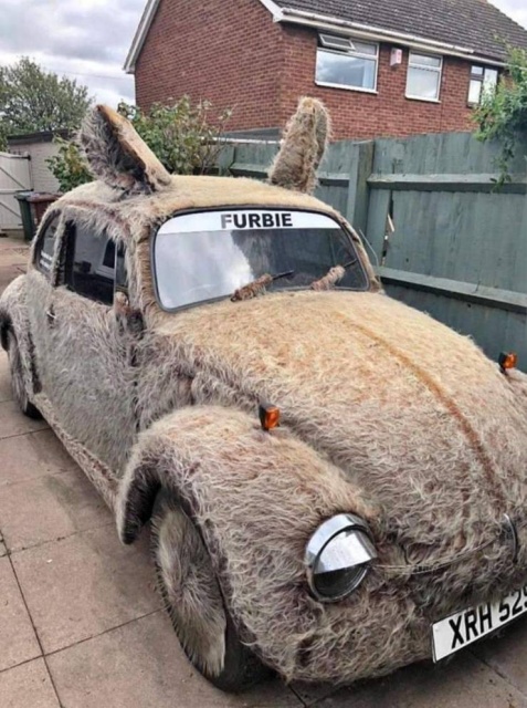 WTF Photos (43 pics)