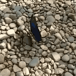 Acid Gifdump, April 11 (25 gifs)