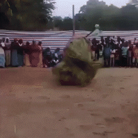 Acid Gifdump, April 11 (25 gifs)