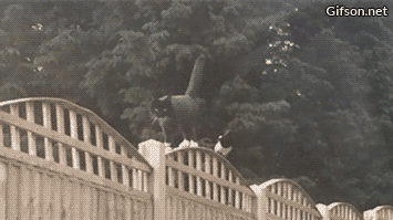 Acid Gifdump, April 11 (25 gifs)