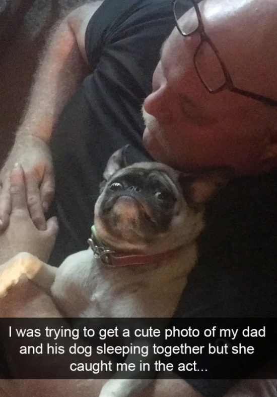 Dog Snapchats (30 pics)