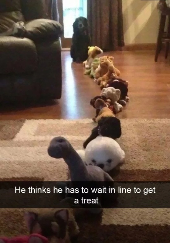 Dog Snapchats (30 pics)