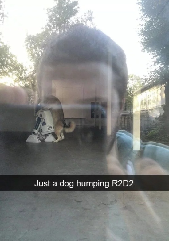 Dog Snapchats (30 pics)