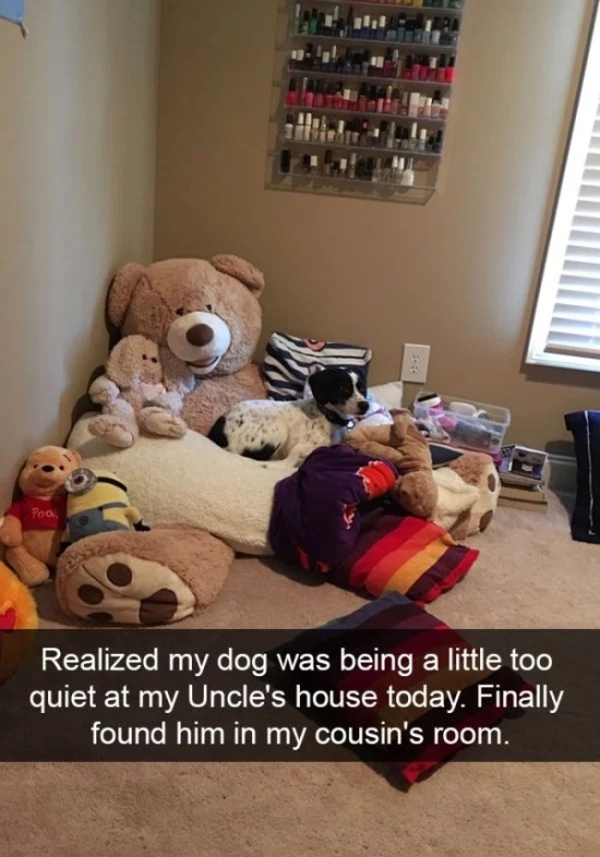 Dog Snapchats (30 pics)