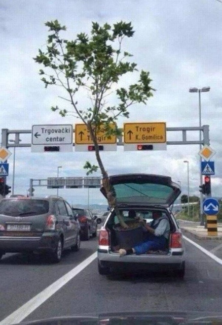 Let's Think About It (28 pics)