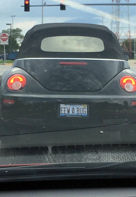 Funny License Plates (20 pics)