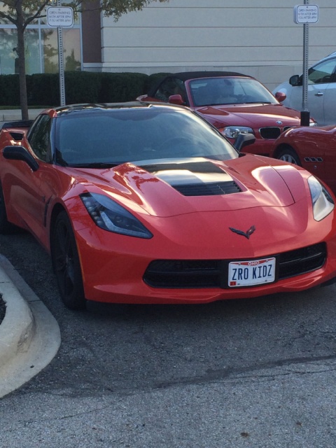 Funny License Plates (20 pics)