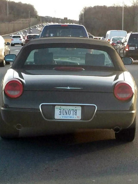 Funny License Plates (20 pics)