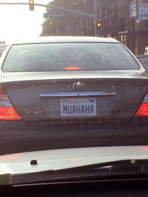 Funny License Plates (20 pics)