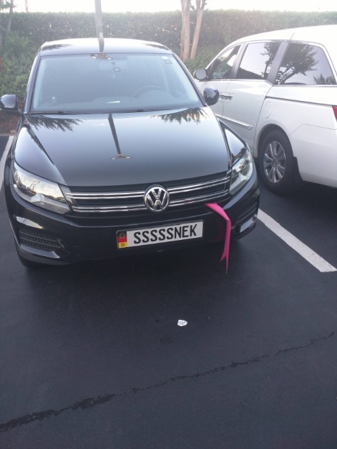 Funny License Plates (20 pics)