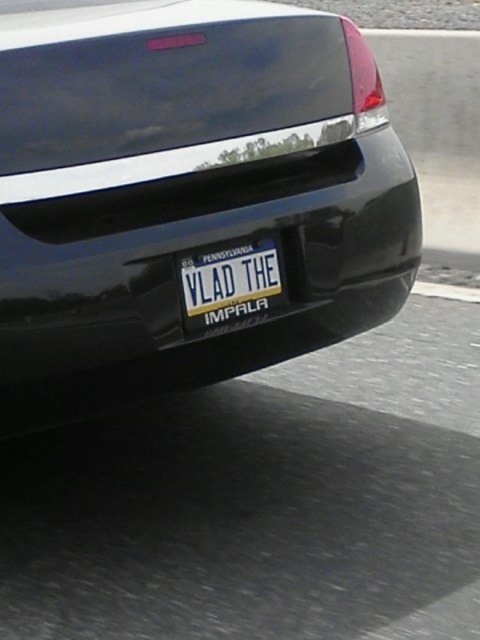 Funny License Plates (20 pics)