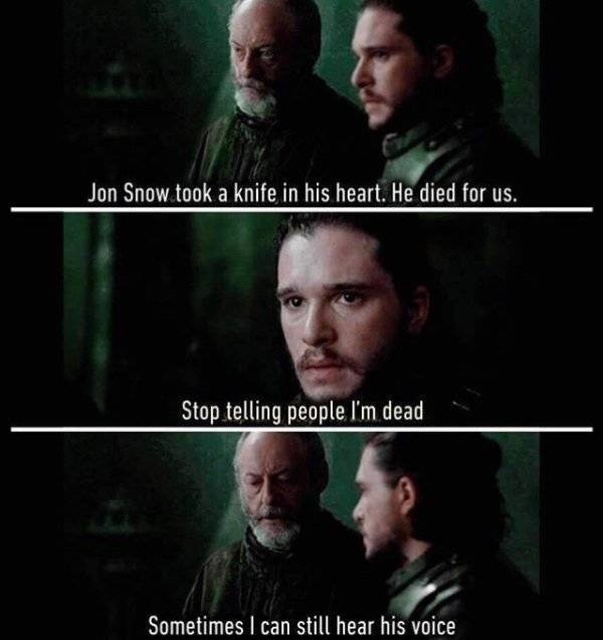 Game Of Thrones Memes (35 pics)