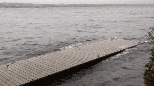 Mesmerizing GIFs (17 gifs)