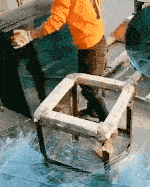 Mesmerizing GIFs (17 gifs)