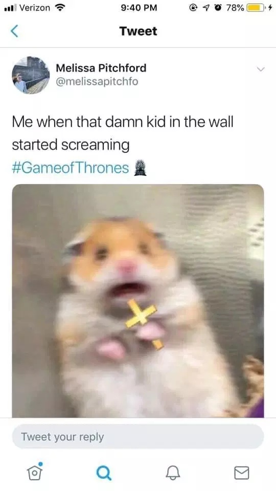 New Game of Thrones Memes (36 pics)
