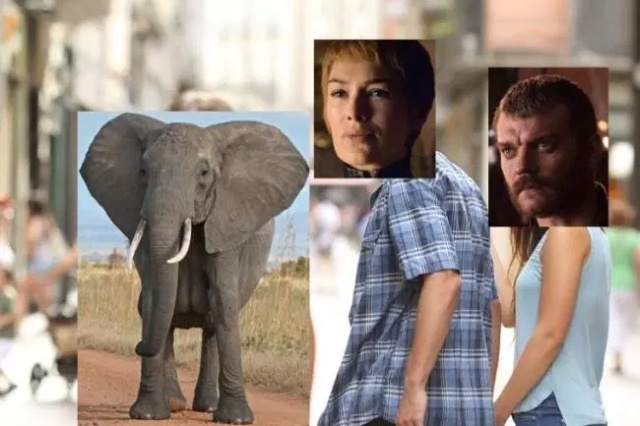 New Game of Thrones Memes (36 pics)